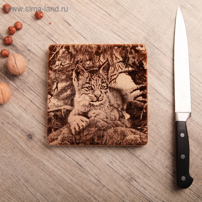Доска из массива кедра &laquo;Рысь&raquo;, квадратная, 18 &times; 18 см