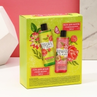 Подарочный набор косметики &laquo;Красота в тебе&raquo;, гель для душа 200 мл и пена для ванны 200 мл, ЧИСТОЕ СЧАСТЬЕ