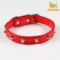 Ошейник с затупленными шипами, 45 х 2 см, микс цветов Ошейник с затупленными шипами, 45 х 2 см, микс цветов