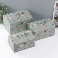 Шкатулка картон сундучок "Цветочный рисунок" набор 3 шт 26х18х16,5 24х16х14,5 22х14х12,7 см 102356 Шкатулка картон сундучок "Цветочный рисунок" набор 3 шт 26х18х16,5 24х16х14,5 22х14х12,7 см 102356