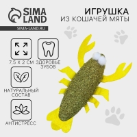 Игрушка для кошек «Рак» из кошачьей мяты, 7.5 х 2 см Игрушка для кошек «Рак» из кошачьей мяты, 7.5 х 2 см