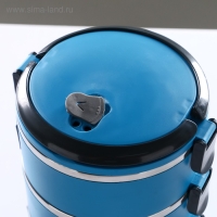 Ланч бокс с отделениями, контейнер для еды "Доляна", 2 л, 4 уровня, сохраняет тепло 3 ч, 14 х 26 см Ланч бокс с отделениями, контейнер для еды "Доляна", 2 л, 4 уровня, сохраняет тепло 3 ч, 14 х 26 см