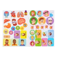 Наклейки набор &laquo;Тело человека&raquo;, 2 шт. по 16 стр.