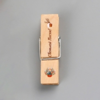 Декор для творчества дерево "Прищепка - Светлой Пасхи!" набор 10 шт Декор для творчества дерево "Прищепка - Светлой Пасхи!" набор 10 шт