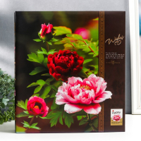 Фотоальбом на 500 фото 10х15 см "Пионы" золот.обв,объем.эл, в коробке МИКС 33,5х30,5х5,7 см Фотоальбом на 500 фото 10х15 см "Пионы" золот.обв,объем.эл, в коробке МИКС 33,5х30,5х5,7 см