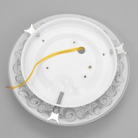 Светильник настенно-потолочный "Черемша" 1x60Вт E27 д.25см. Светильник настенно-потолочный "Черемша" 1x60Вт E27 д.25см.