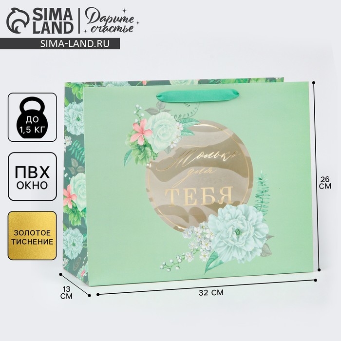 Пакет подарочный ламинированный с пластиковым окном, упаковка, «Тебе», 32,5 х 26,5 х 13,5 см Пакет подарочный ламинированный с пластиковым окном, упаковка, «Тебе», 32,5 х 26,5 х 13,5 см