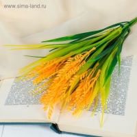 Букет "Колосок" 36 см Букет "Колосок" 36 см