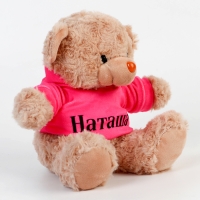 Мягкая игрушка Мишка &laquo;Наташа&raquo;, 19 см