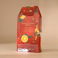 Подарочный набор URAL LAB &laquo;Уютные мнгновения&raquo;: гель для душа 300 мл и мист для тела 88 мл, Новый Год