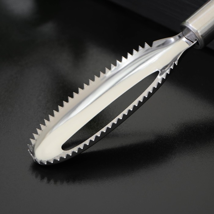 Рыбочистка Доляна «Металлик», 16,5 см, цвет серебристый Рыбочистка Доляна «Металлик», 16,5 см, цвет серебристый