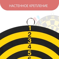 Дартс, мишень диаметром 22 см, 2 дротика