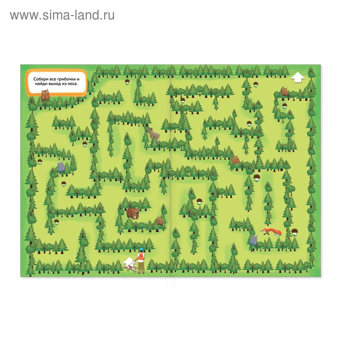 Книги &laquo;Суперлабиринты&raquo;, набор, формат А4, 2 шт. по 16 стр.