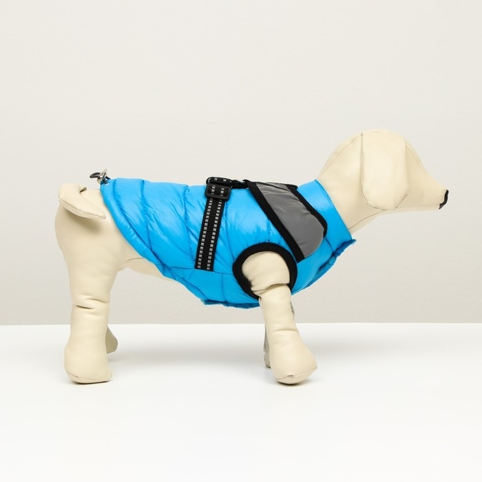 Куртка для собак со светоотражающей шлейкой,  размер 8 (ДС 23, ОГ 30, ОШ 22), голубая