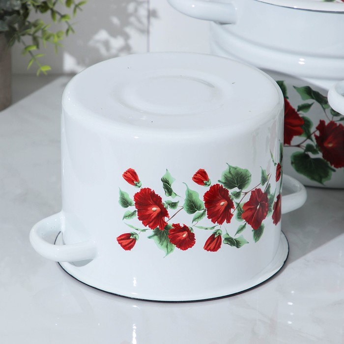 Набор эмалированных кастрюль &laquo;Рамо&raquo;, 3 предмета: 3,5 л, 5,5 л, 8 л