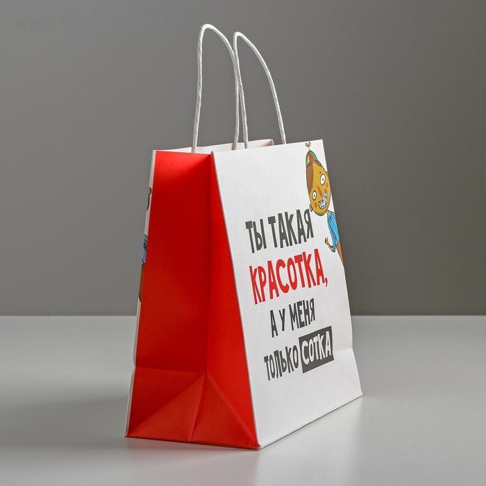Пакет подарочный, упаковка, &laquo;Красотка&raquo;, 22 х 22 х 11 см