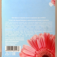 Чай чёрный со вкусом ваниль и карамель &laquo;Тёплых моментов&raquo; с европодвесом, 50 г.