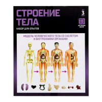 Набор для опытов «Строение тела», анатомия человека Набор для опытов «Строение тела», анатомия человека
