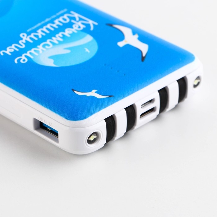 Зарядное устройство &laquo;Крымские каникулы&raquo;, 8000мА,модель PB-23, 14,5 х 6,9 см