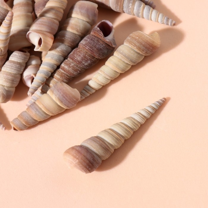 Ракушки природные декоративные "Спираль" набор 100 гр