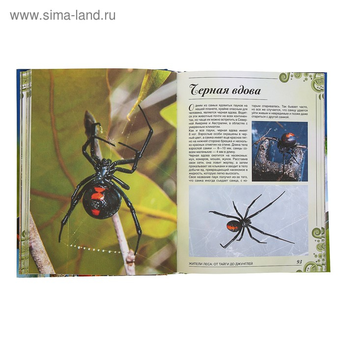 Большая книга о животных. 1001 фотография. Ермакович Д. И.