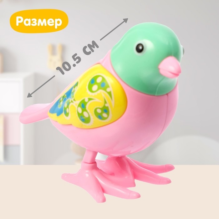 Игрушка заводная &laquo;Яркая птичка&raquo;, МИКС