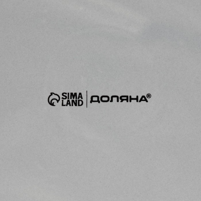 Блинница новогодняя Доляна &laquo;Волшебная сказка&raquo;, d=23 см, керамика, цвет белый