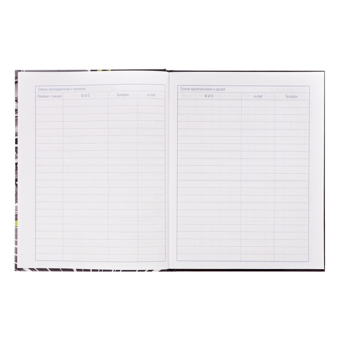 Дневник твердая обложка 1-11 класс 40 листов, Авто чемпион, глянцевая ламинация