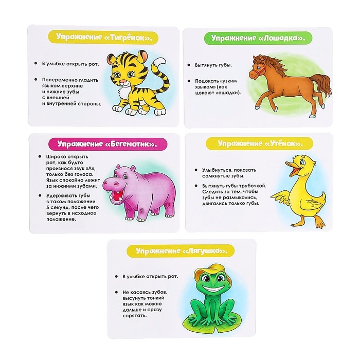 Набор для развития речи &laquo;Зарядка в зоопарке&raquo;, 3+, МИКС