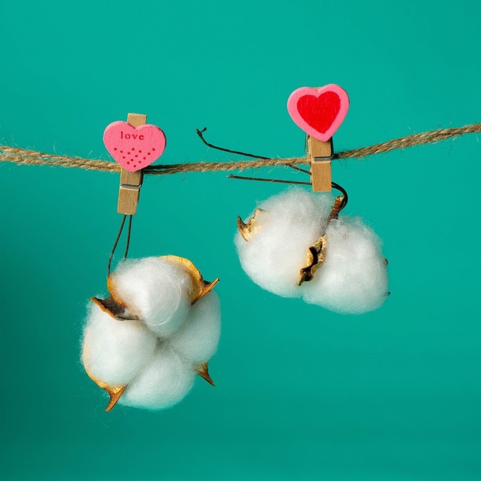 Набор для фото и декора «Сердца», в наборе прищепки 10 шт., верёвка 100 см Набор для фото и декора «Сердца», в наборе прищепки 10 шт., верёвка 100 см