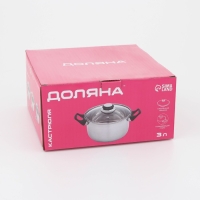 Кастрюля из нержавеющей стали Доляна «Чёрная ночь», 3 л, с крышкой Кастрюля из нержавеющей стали Доляна «Чёрная ночь», 3 л, с крышкой