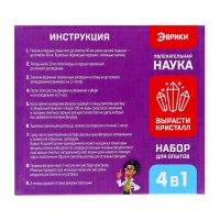 Набор для опытов &laquo;Мастерская кристаллов: Ёлочная игрушка&raquo;, вырасти кристалл