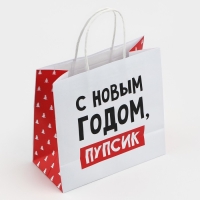 Пакет подарочный новогодний &laquo;С Новым годом, пупсик&raquo;, 22 х 22 х 11 см , Новый год