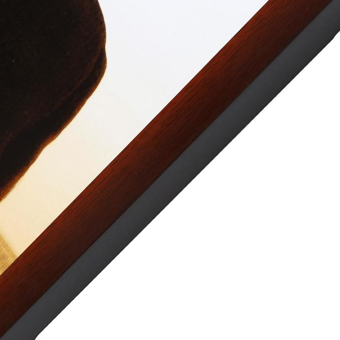 Картина "Романтика не берегу" 107*58 см