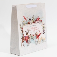 Пакет подарочный новогодний ламинированный &laquo;Поздравляю тебя&raquo;, M 30 х 26 х 9 см, Новый год