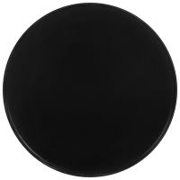 Набор хоккейных шайб, взрослый, 10 шт