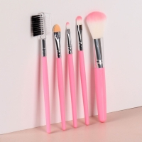 Набор кистей для макияжа &laquo;Нежность&raquo;, 5 предметов, цвет розовый
