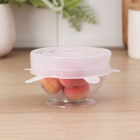 Набор крышек силиконовых Доляна &laquo;Черепашка&raquo;, 6 шт, d=19,2 см, d=15,7 см, d=14 см, d=11,2 см, d=9,2 см, d=6,2 см