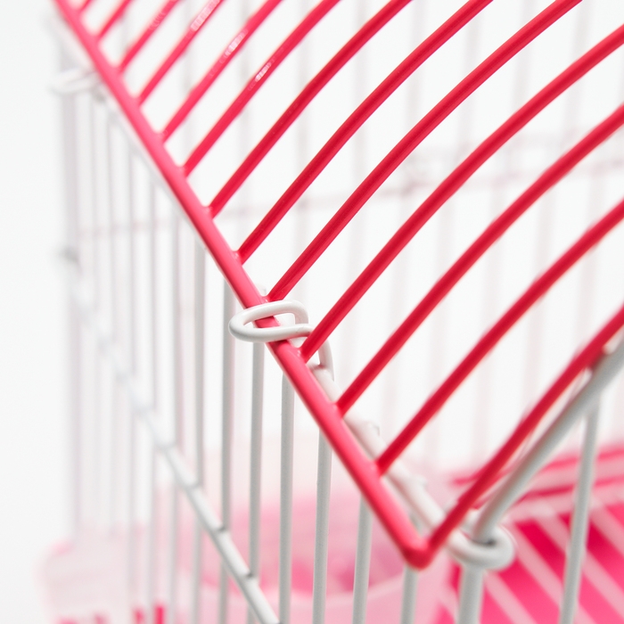 Клетка для грызунов укомплектованная RT-2c, 23 х 16,5 х 20 см, розовая (фасовка 30 шт)