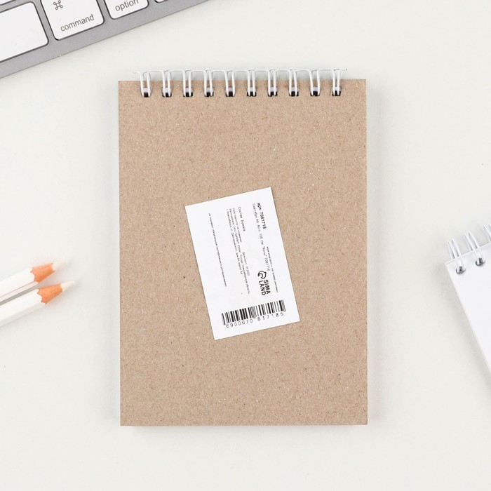 Скетчбук &laquo;Коты&raquo;, А6, 40 листов, 100 г/м