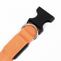 Ошейник с подсветкой Двойная полоса размер S, ОШ 35-43 х 2,5 см, 3 режима свечения оранжевый Ошейник с подсветкой Двойная полоса размер S, ОШ 35-43 х 2,5 см, 3 режима свечения оранжевый