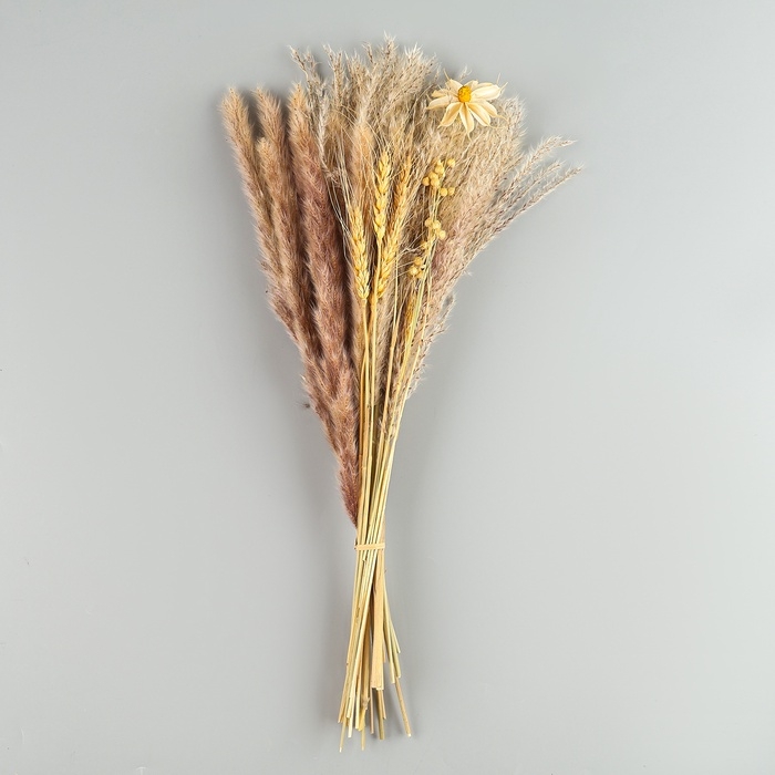 Сухоцветы &laquo;Нежность&raquo;, набор из 4 видов, 48 &times; 16 &times; 6 см