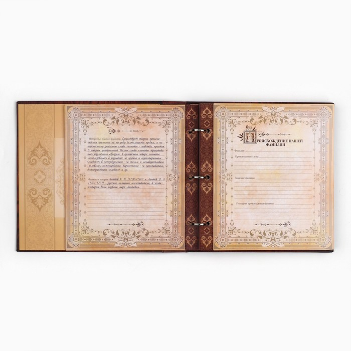 Родословная книга с рамкой под фото «Родословная книга», под дерево, 50 листов, 21,5 х 23,7 см. Родословная книга с рамкой под фото «Родословная книга», под дерево, 50 листов, 21,5 х 23,7 см.