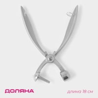 Удалитель косточек Доляна &laquo;Любитель&raquo;, 18 см