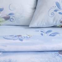 Постельное бельё "Этель" 2 сп. Кувшинки 175х215 см, 200х220 см, 70х70 см - 2 шт, 100% хлопок, бязь