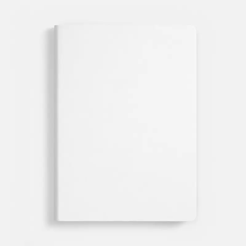 Ежедневник Nebraska Flex, недатированный, белый с золотистым