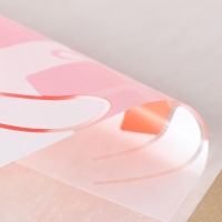 Набор наклеек "Новогодние 5", микс Набор наклеек "Новогодние 5", микс