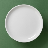 Блюдо для подачи "Милые змейки" 20,5х20,5х10 см