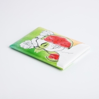 Обложка для паспорта, цвет зелёный Обложка для паспорта, цвет зелёный