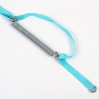 Прыгунки №1, 2в1 &laquo;Космос&raquo; (прыгунки, качели, тарзанка)